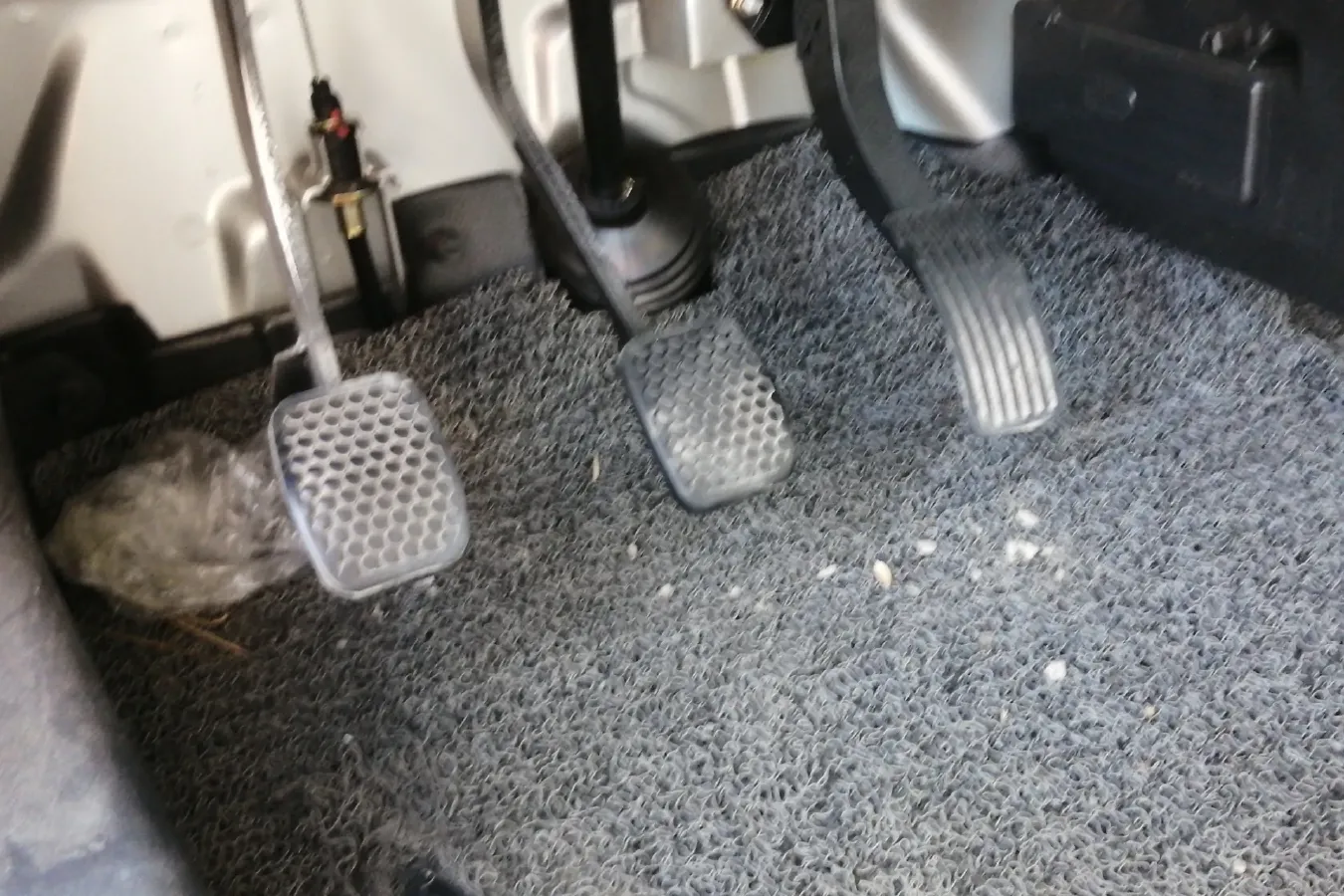 2021 ChangAn KuaYue New Leopard T3 1.6L 122HP L4 5MT,autocango,china used car exporter,china ev exporter,chinese used car exporter,chinese used ev exporter