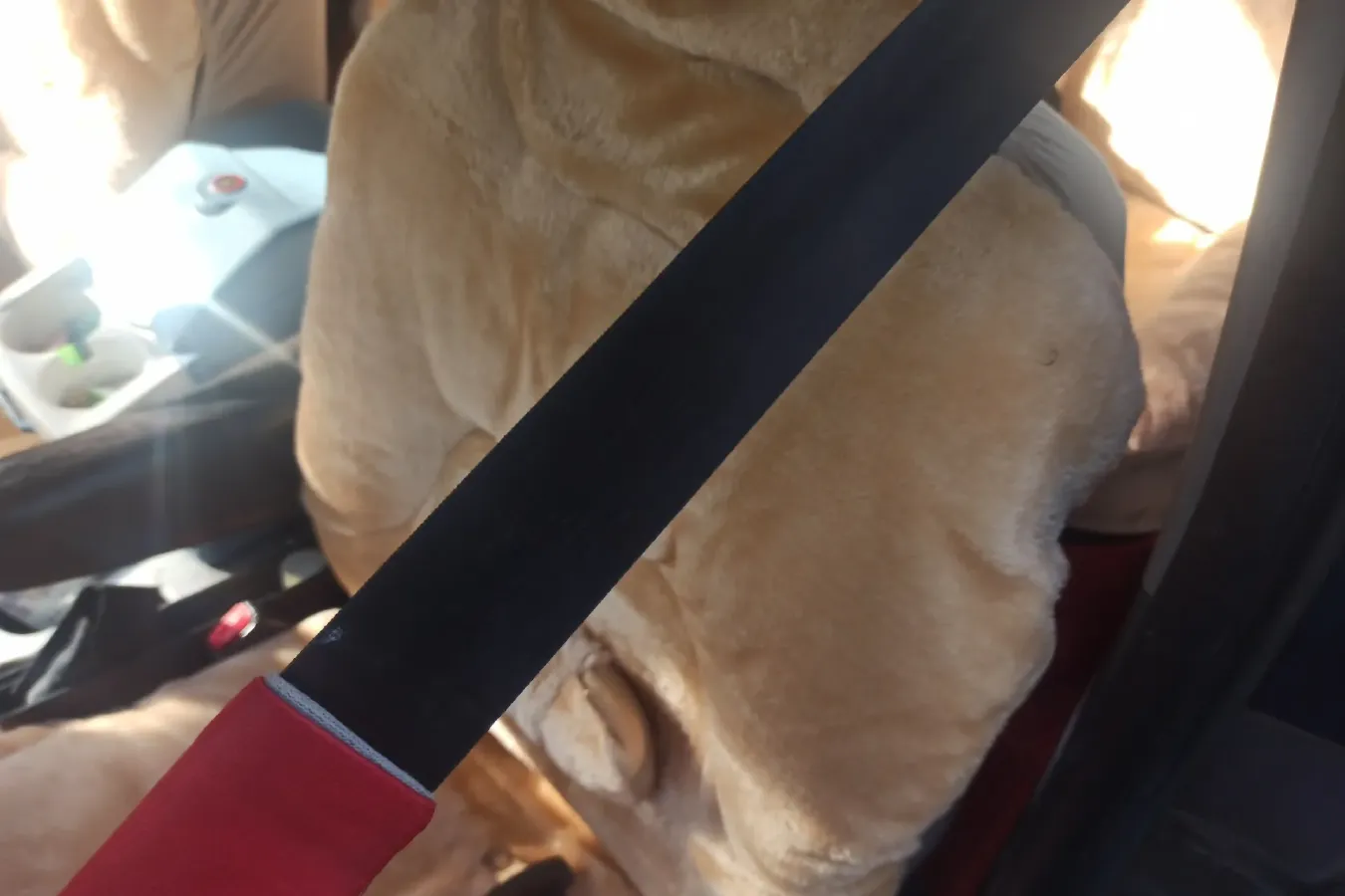 2012 DongFeng Forthing Joyear 1.5L 120HP L4 5MT,autocango,china used car exporter,china ev exporter,chinese used car exporter,chinese used ev exporter