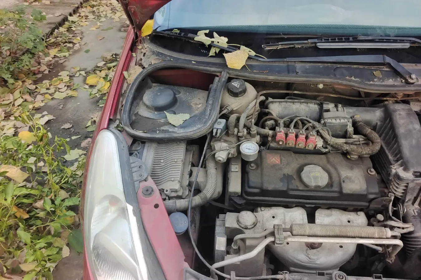 2010 Citroen C2 1.4L 76HP L4 5MT,autocango,china used car exporter,china ev exporter,chinese used car exporter,chinese used ev exporter