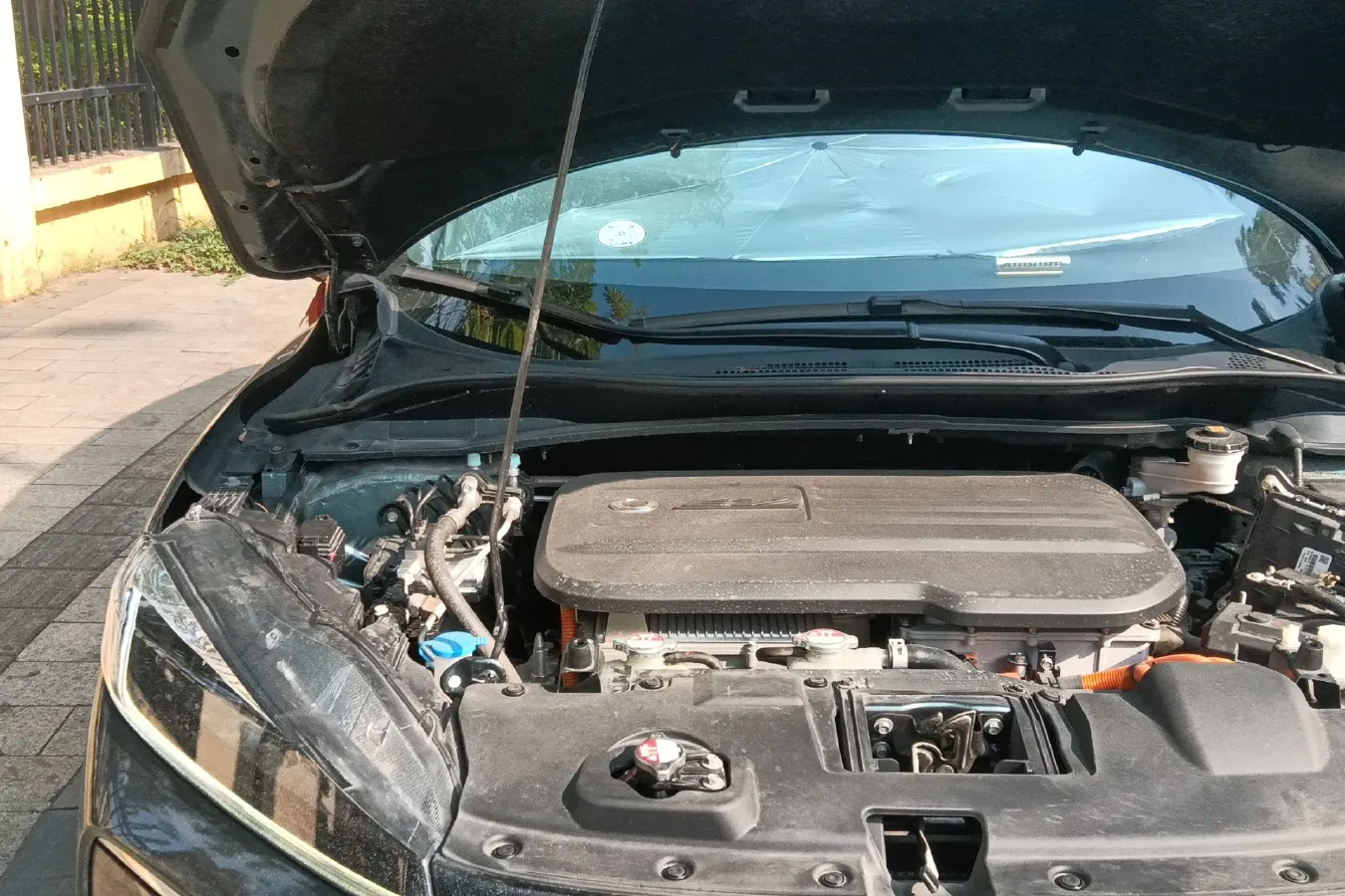 2021 Ciimo M-NV BEV 61.3KWH,autocango,china used car exporter,china ev exporter,chinese used car exporter,chinese used ev exporter