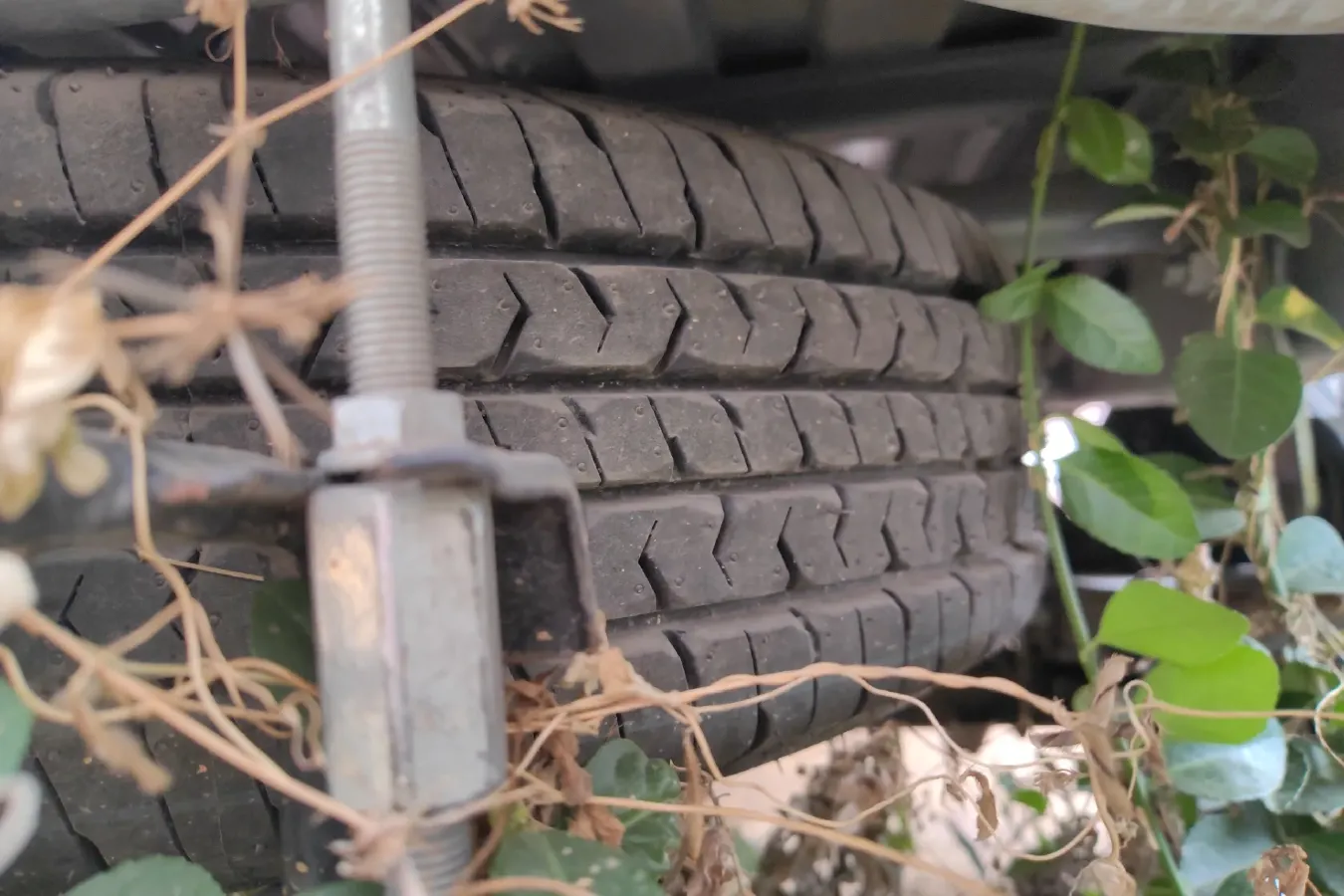 2022 DongFeng DFSK C31 1.6L 122HP L4 5MT,autocango,china used car exporter,china ev exporter,chinese used car exporter,chinese used ev exporter