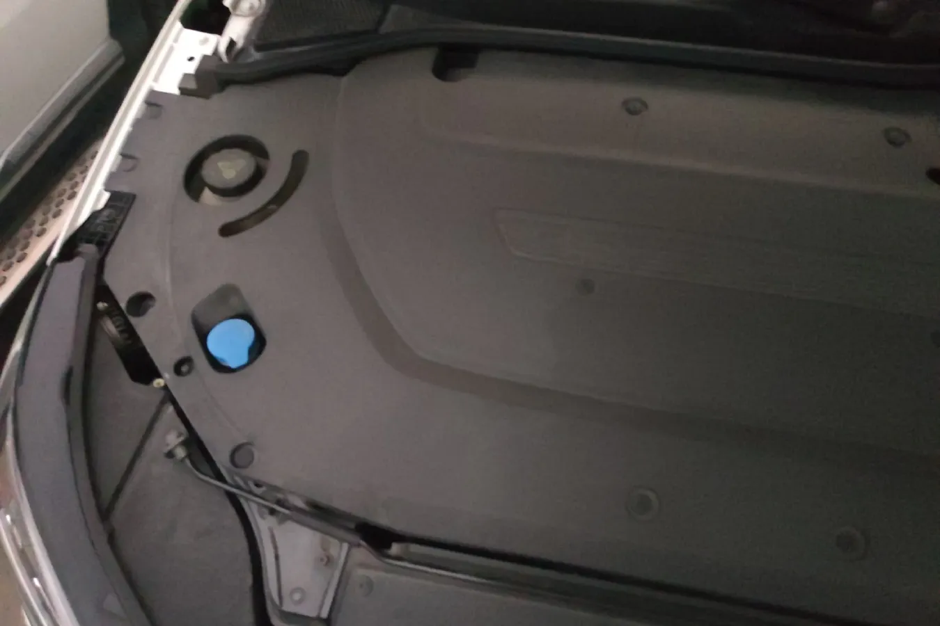 2021 Rising Auto ER6 BEV 69.9KWH,autocango,china used car exporter,china ev exporter,chinese used car exporter,chinese used ev exporter