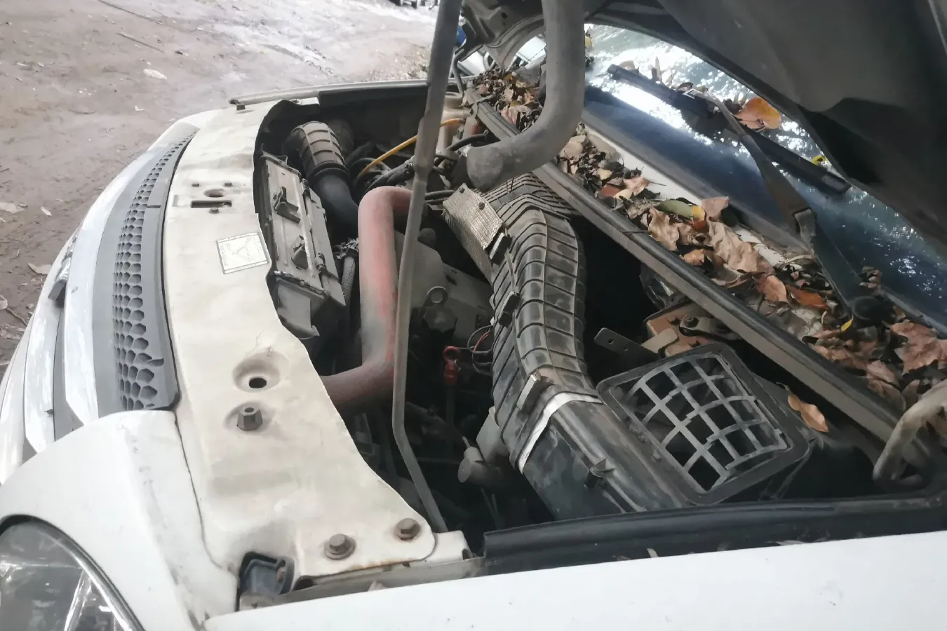 2009 Iveco BaoDi 3.0T 146HP L4 5MT,autocango,china used car exporter,china ev exporter,chinese used car exporter,chinese used ev exporter