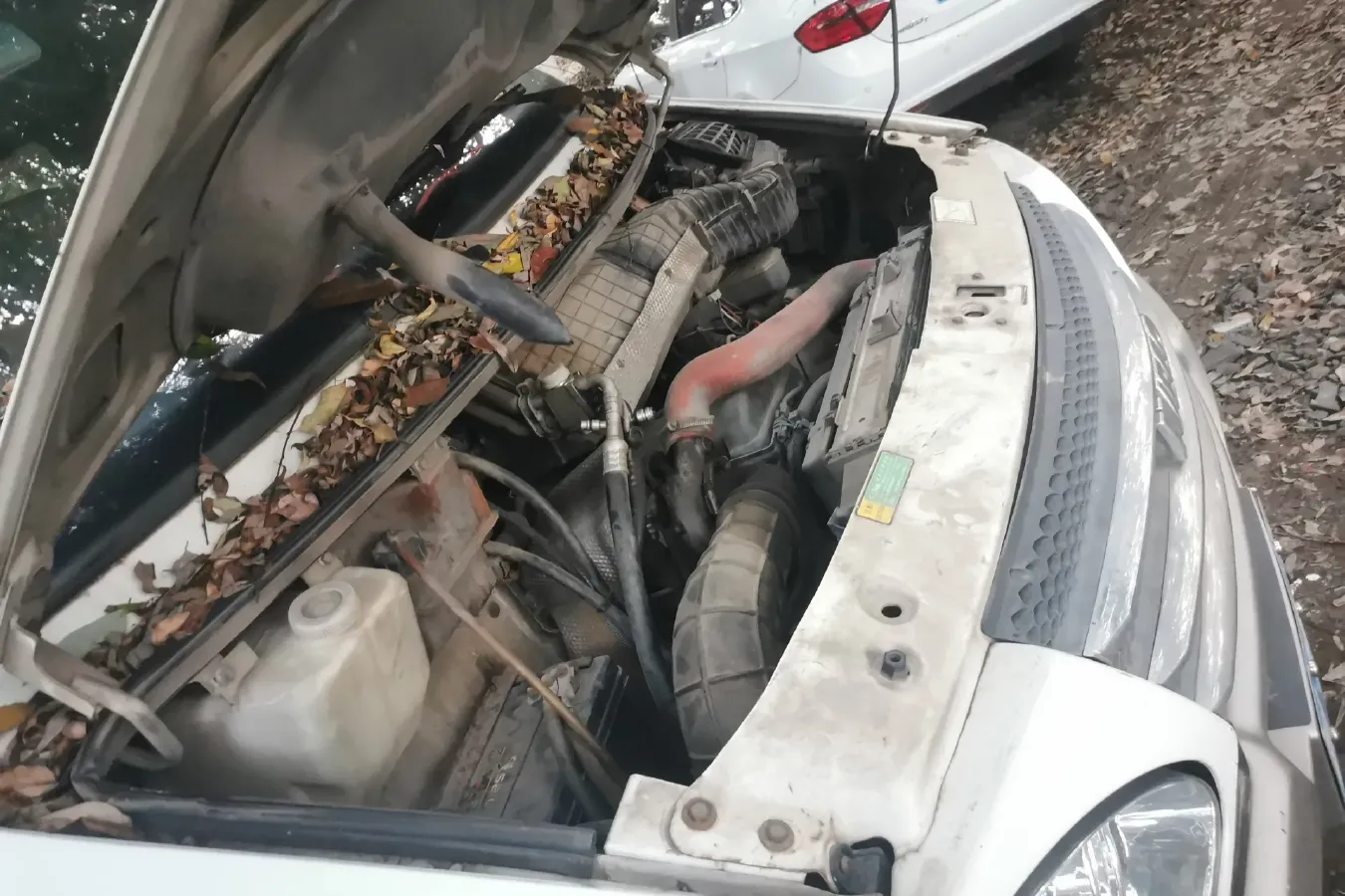 2009 Iveco BaoDi 3.0T 146HP L4 5MT,autocango,china used car exporter,china ev exporter,chinese used car exporter,chinese used ev exporter