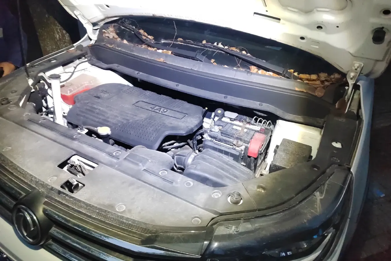 2019 DongFeng Forthing SX6 1.5T 150HP L4 6MT,autocango,china used car exporter,china ev exporter,chinese used car exporter,chinese used ev exporter