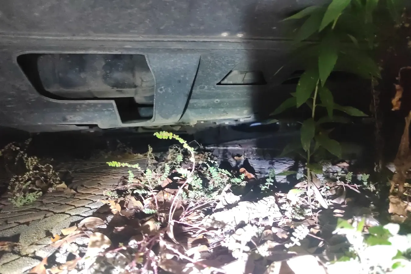 2019 DongFeng Forthing SX6 1.5T 150HP L4 6MT,autocango,china used car exporter,china ev exporter,chinese used car exporter,chinese used ev exporter