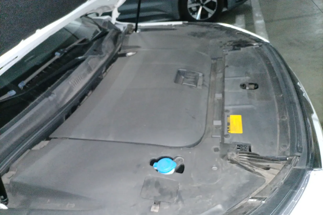 2020 Weltmeister EX6 BEV,autocango,china used car exporter,china ev exporter,chinese used car exporter,chinese used ev exporter