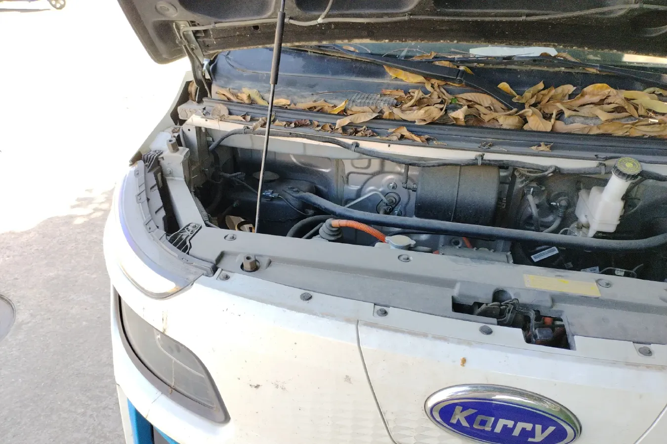 2021 Karry Dolphin EV BEV 43.5KWH,autocango,china used car exporter,china ev exporter,chinese used car exporter,chinese used ev exporter