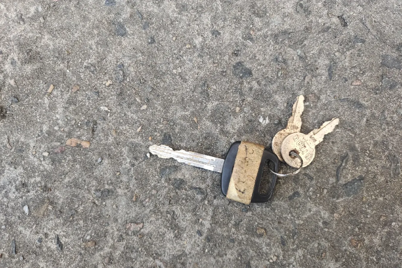 2014 Foton Scenery 2.2L 103HP L4 5MT,autocango,china used car exporter,china ev exporter,chinese used car exporter,chinese used ev exporter