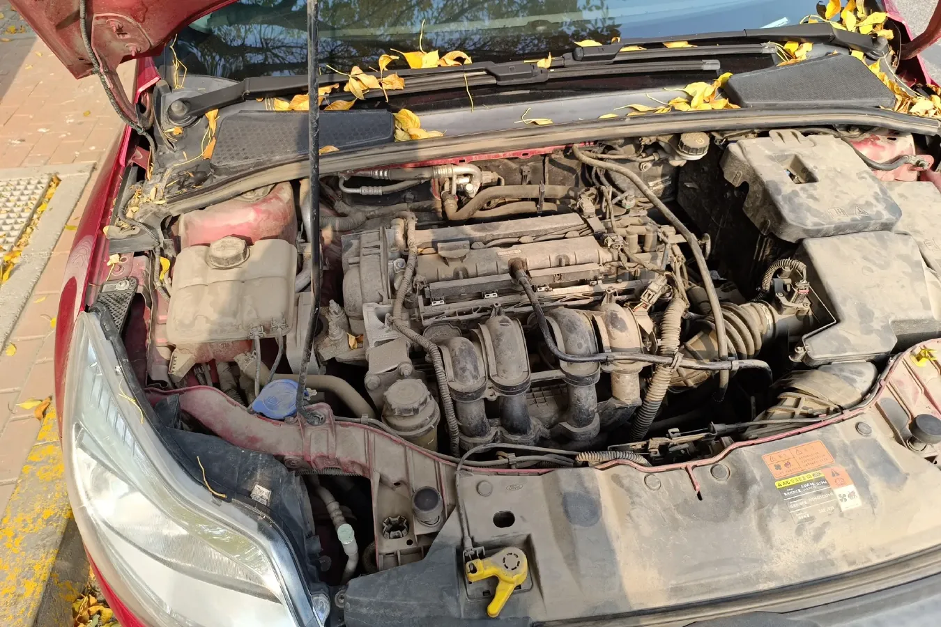 2012 Ford Focus 1.6L 125HP L4 6DCT,autocango,china used car exporter,china ev exporter,chinese used car exporter,chinese used ev exporter