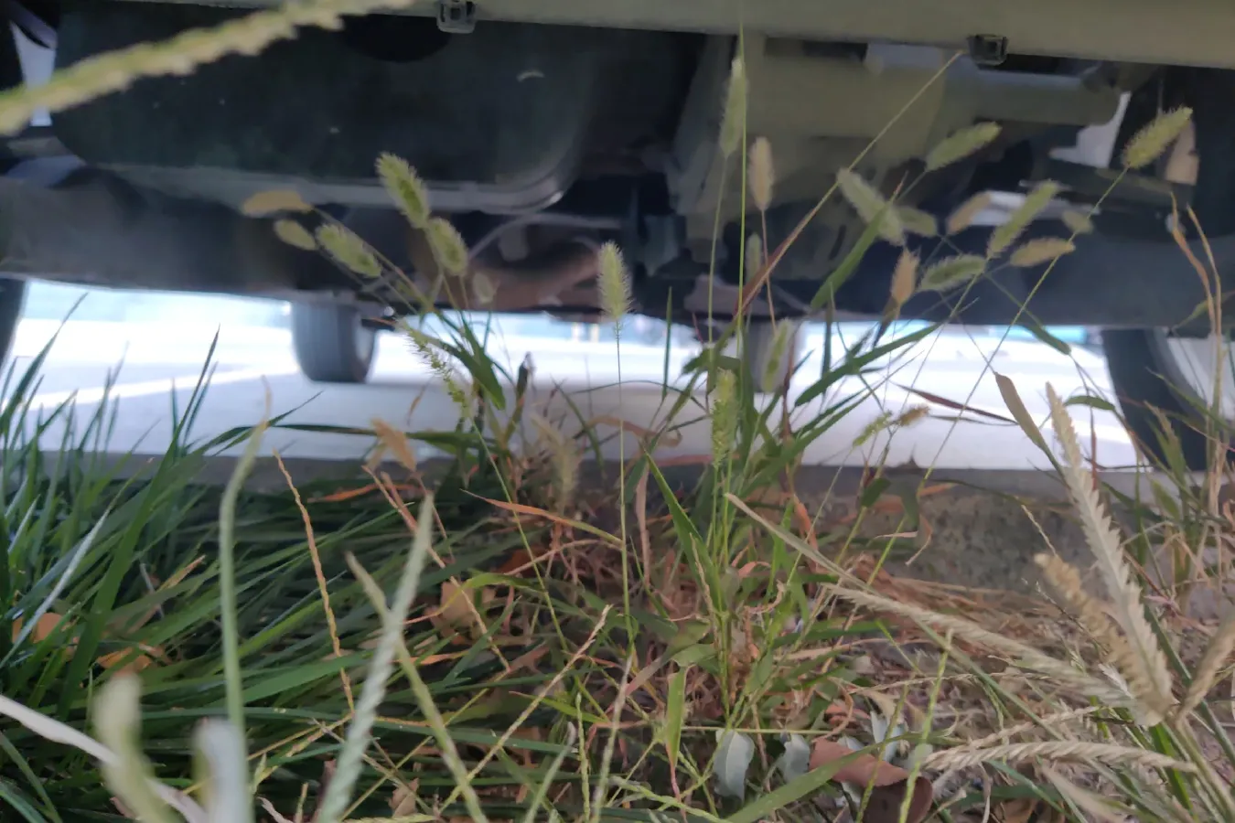 2016 BeiJing Auto Senova X55 1.5L 116HP L4 5MT,autocango,china used car exporter,china ev exporter,chinese used car exporter,chinese used ev exporter