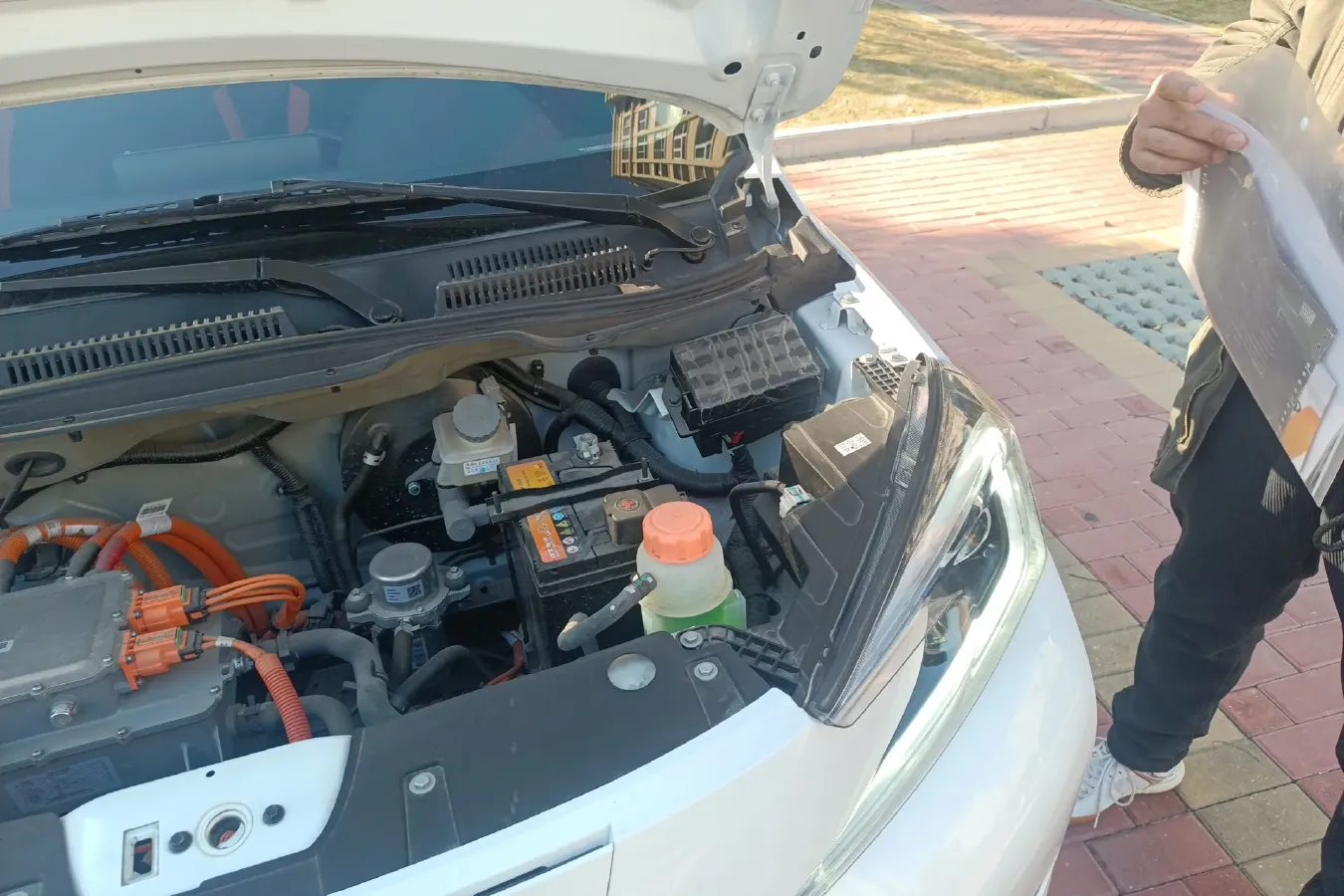 2021 EV House YOUNG BEV 38.54KWH,autocango,china used car exporter,china ev exporter,chinese used car exporter,chinese used ev exporter