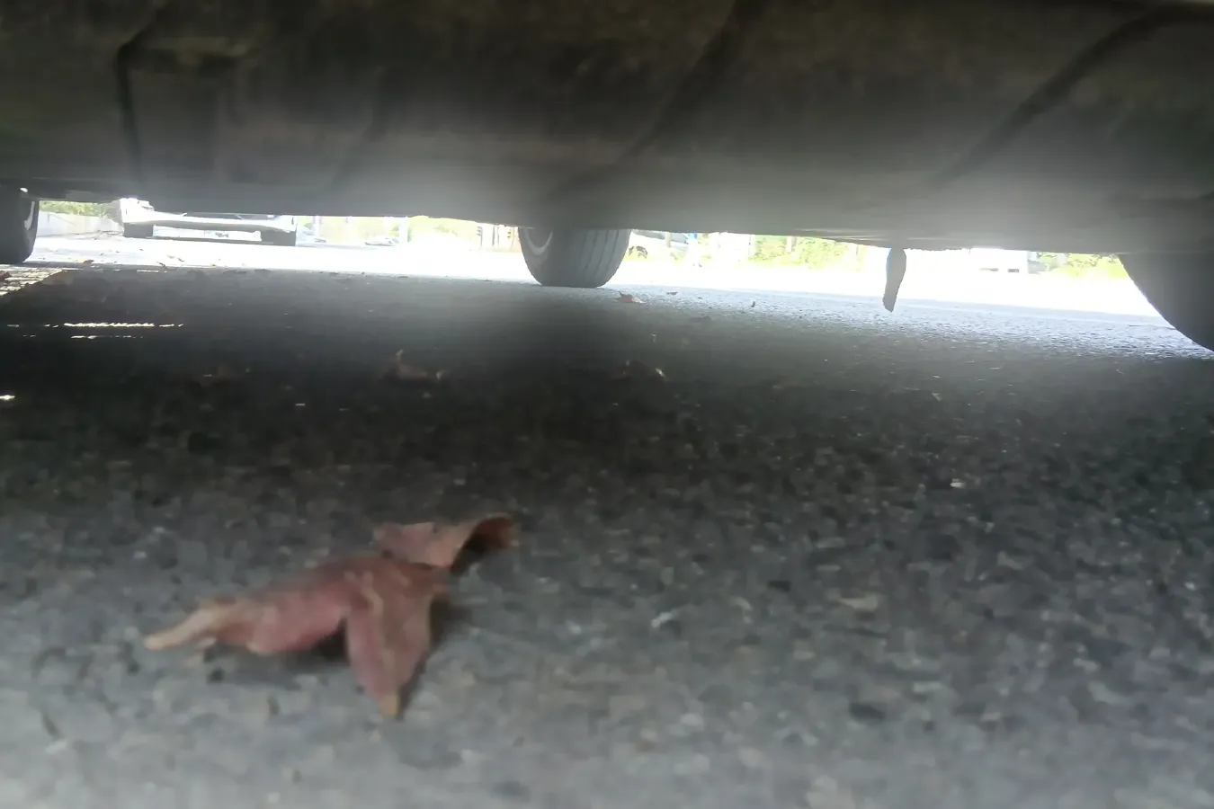 2011 Fiat Bravo 1.4T 120HP L4 6AMT,autocango,china used car exporter,china ev exporter,chinese used car exporter,chinese used ev exporter