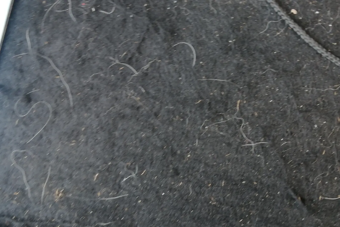 2012 DongFeng Forthing Joyear 1.5L 120HP L4 5MT,autocango,china used car exporter,china ev exporter,chinese used car exporter,chinese used ev exporter