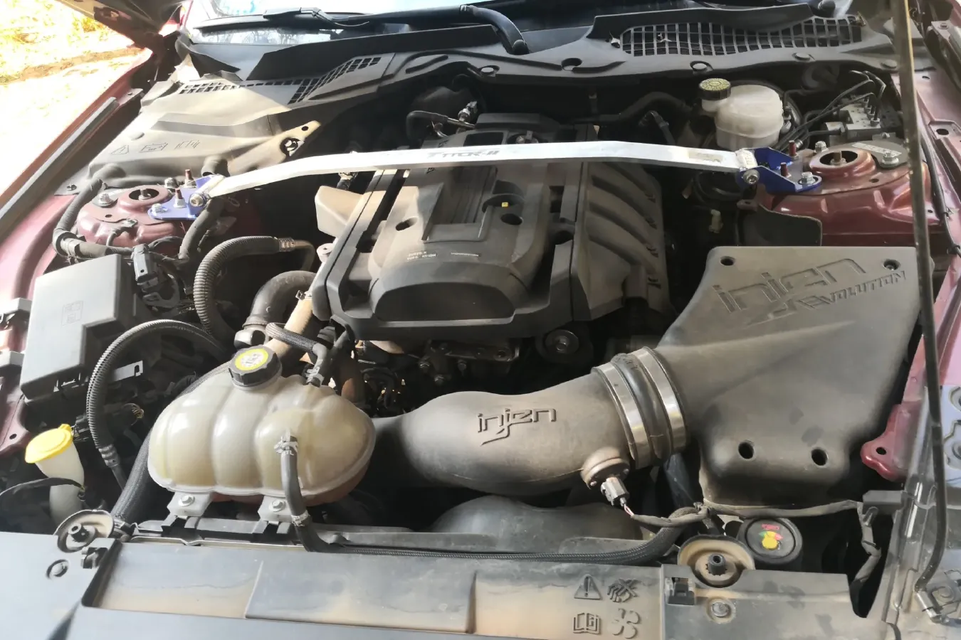 2018 SHELBY GTE 2.3T 312HP L4 10AT,autocango,china used car exporter,china ev exporter,chinese used car exporter,chinese used ev exporter