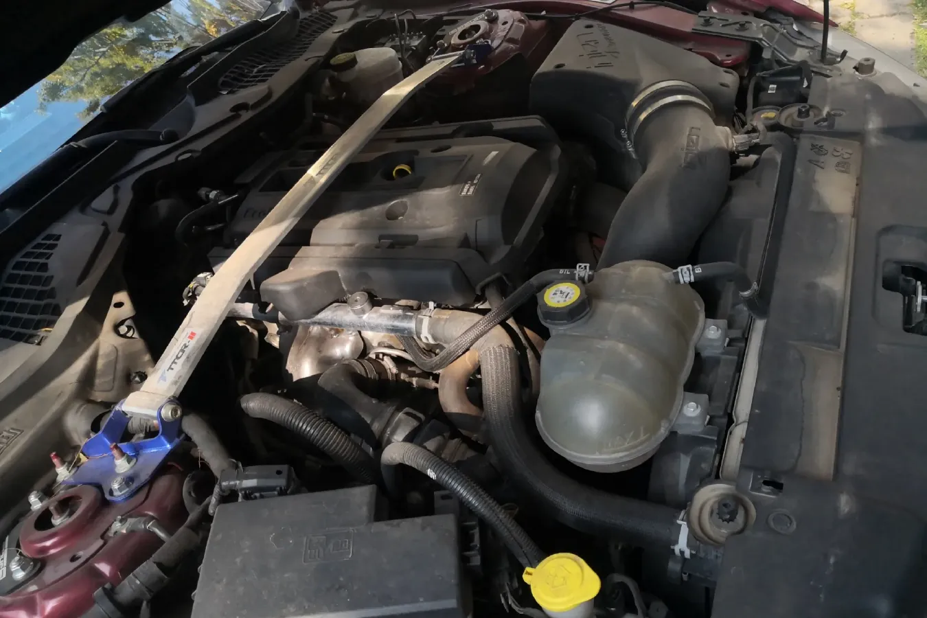 2018 SHELBY GTE 2.3T 312HP L4 10AT,autocango,china used car exporter,china ev exporter,chinese used car exporter,chinese used ev exporter