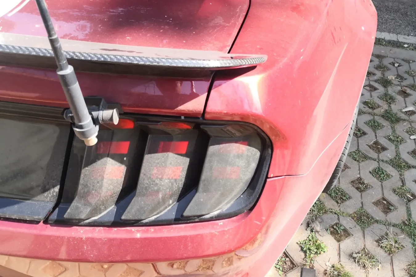 2018 SHELBY GTE 2.3T 312HP L4 10AT,autocango,china used car exporter,china ev exporter,chinese used car exporter,chinese used ev exporter