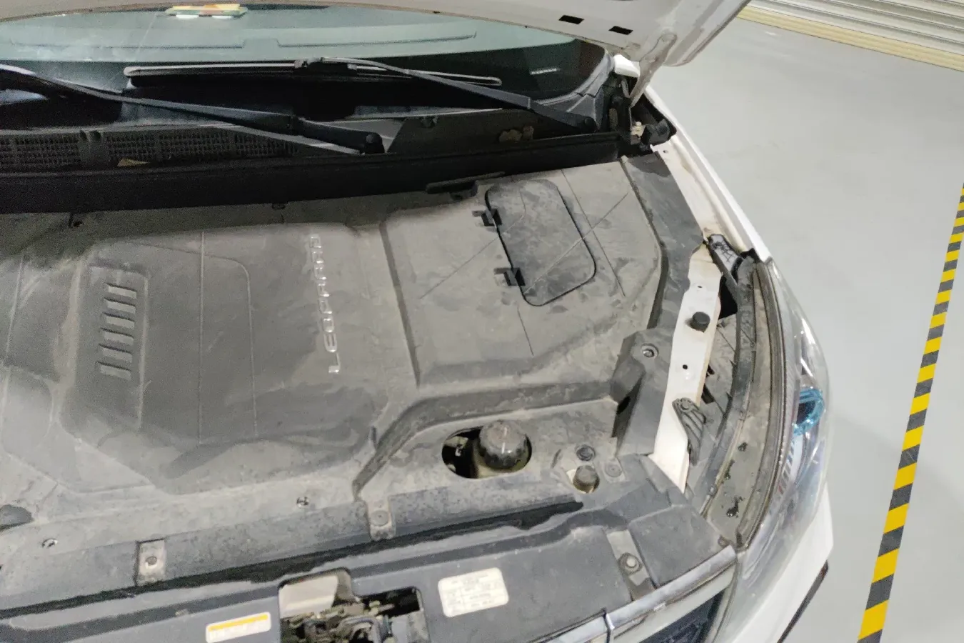 2018 Leopaard CS9 BEV 48.18KWH,autocango,china used car exporter,china ev exporter,chinese used car exporter,chinese used ev exporter