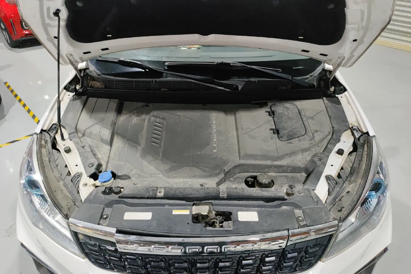 2018 Leopaard CS9 BEV 48.18KWH,autocango,china used car exporter,china ev exporter,chinese used car exporter,chinese used ev exporter