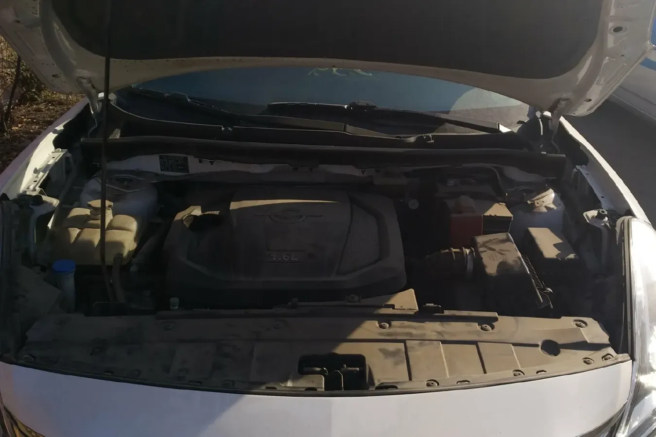 2017 HaiMa Family 1.6L 125HP L4 6MT,autocango,china used car exporter,china ev exporter,chinese used car exporter,chinese used ev exporter