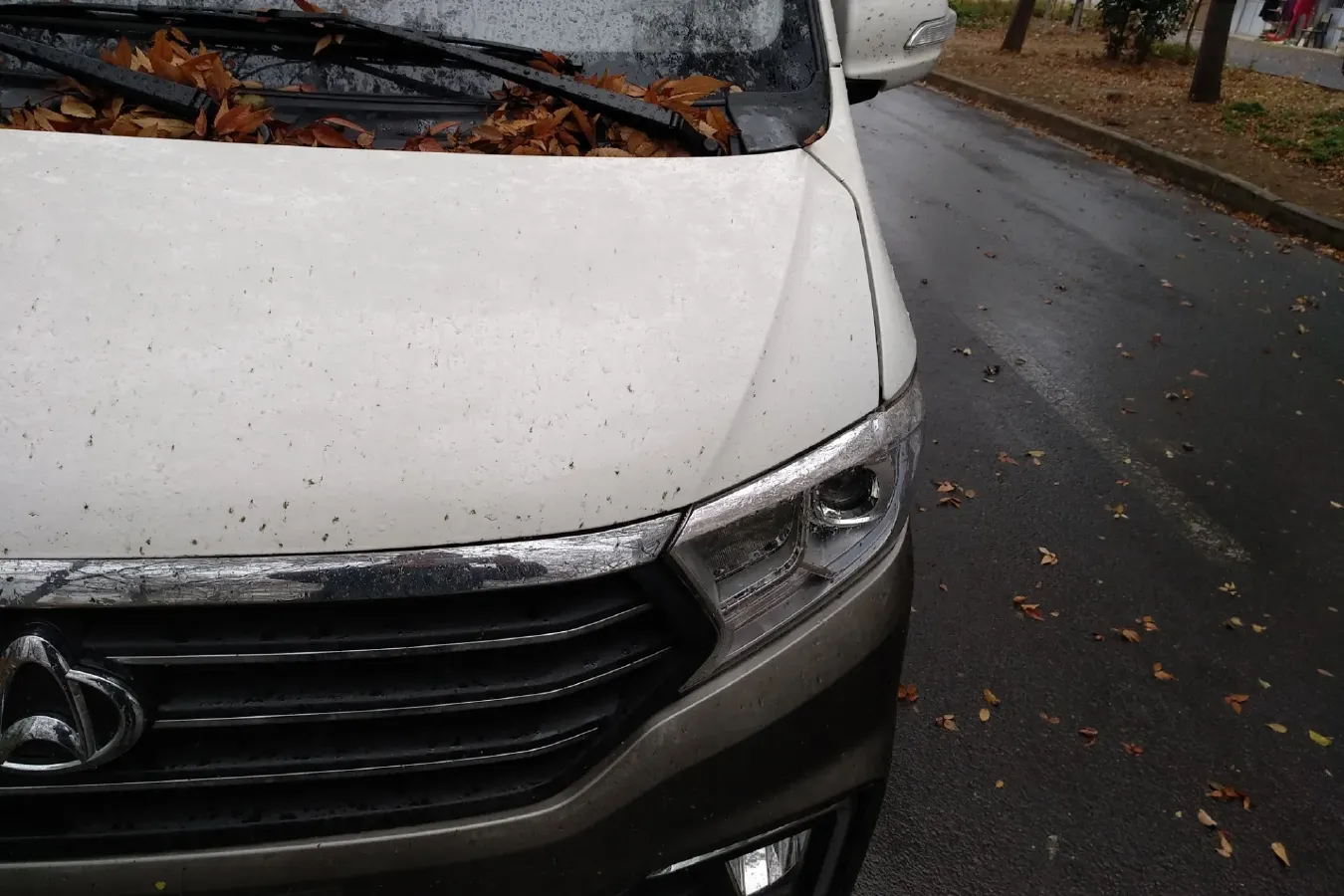 2022 ChangAn KuaYue KuaYueXing V3 1.5L 107HP L4 5MT,autocango,china used car exporter,china ev exporter,chinese used car exporter,chinese used ev exporter