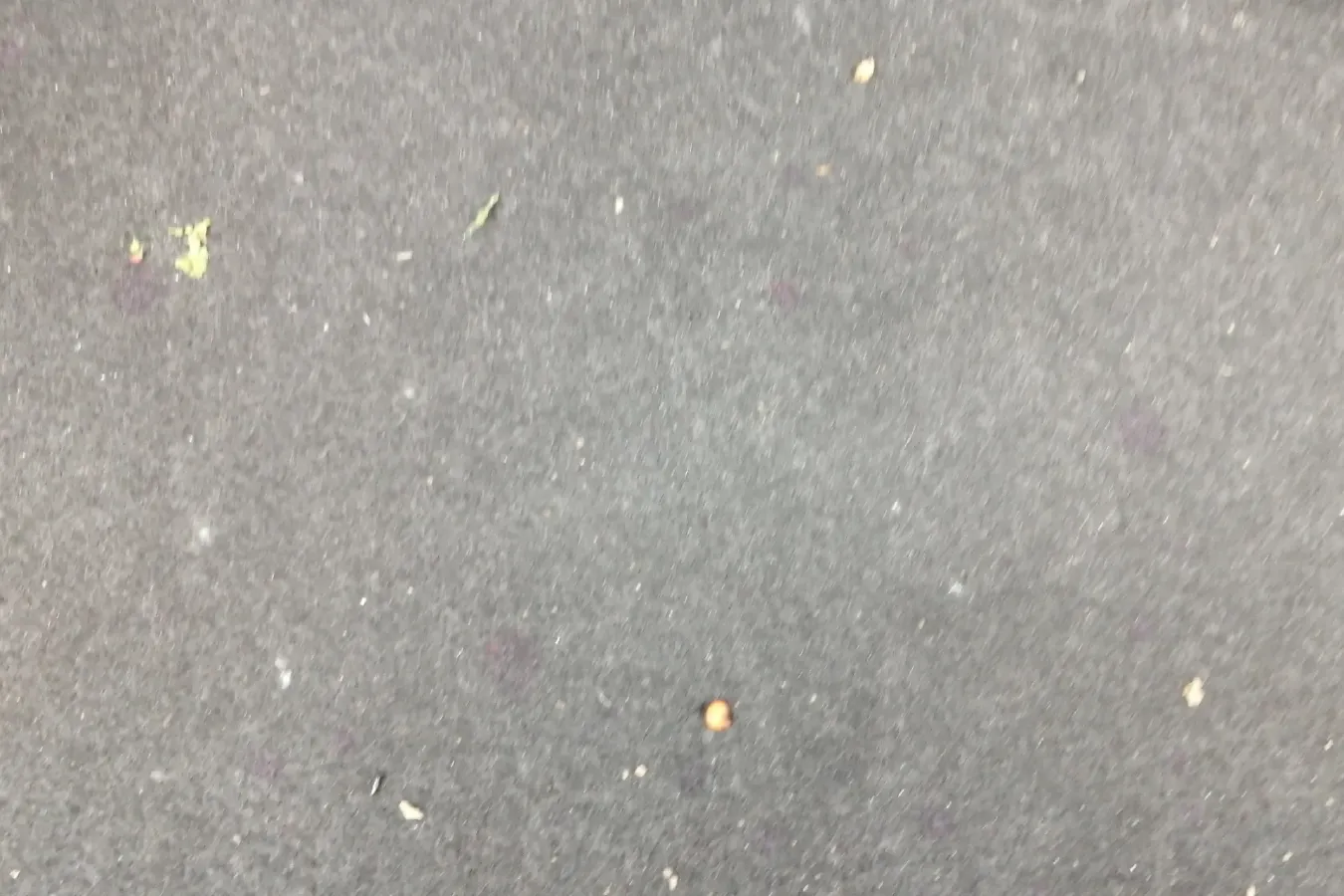 2013 Chery Fulwin 2 1.5L 109HP L4 5MT,autocango,china used car exporter,china ev exporter,chinese used car exporter,chinese used ev exporter