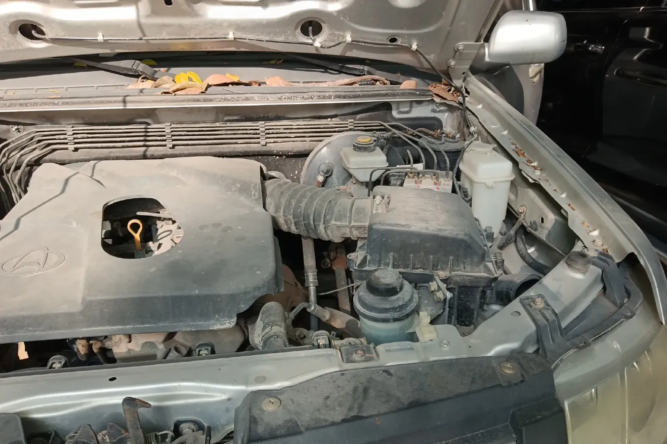 2018 ChangAn Kaicene ShenQi F30 1.5L 112HP L4 5MT,autocango,china used car exporter,china ev exporter,chinese used car exporter,chinese used ev exporter