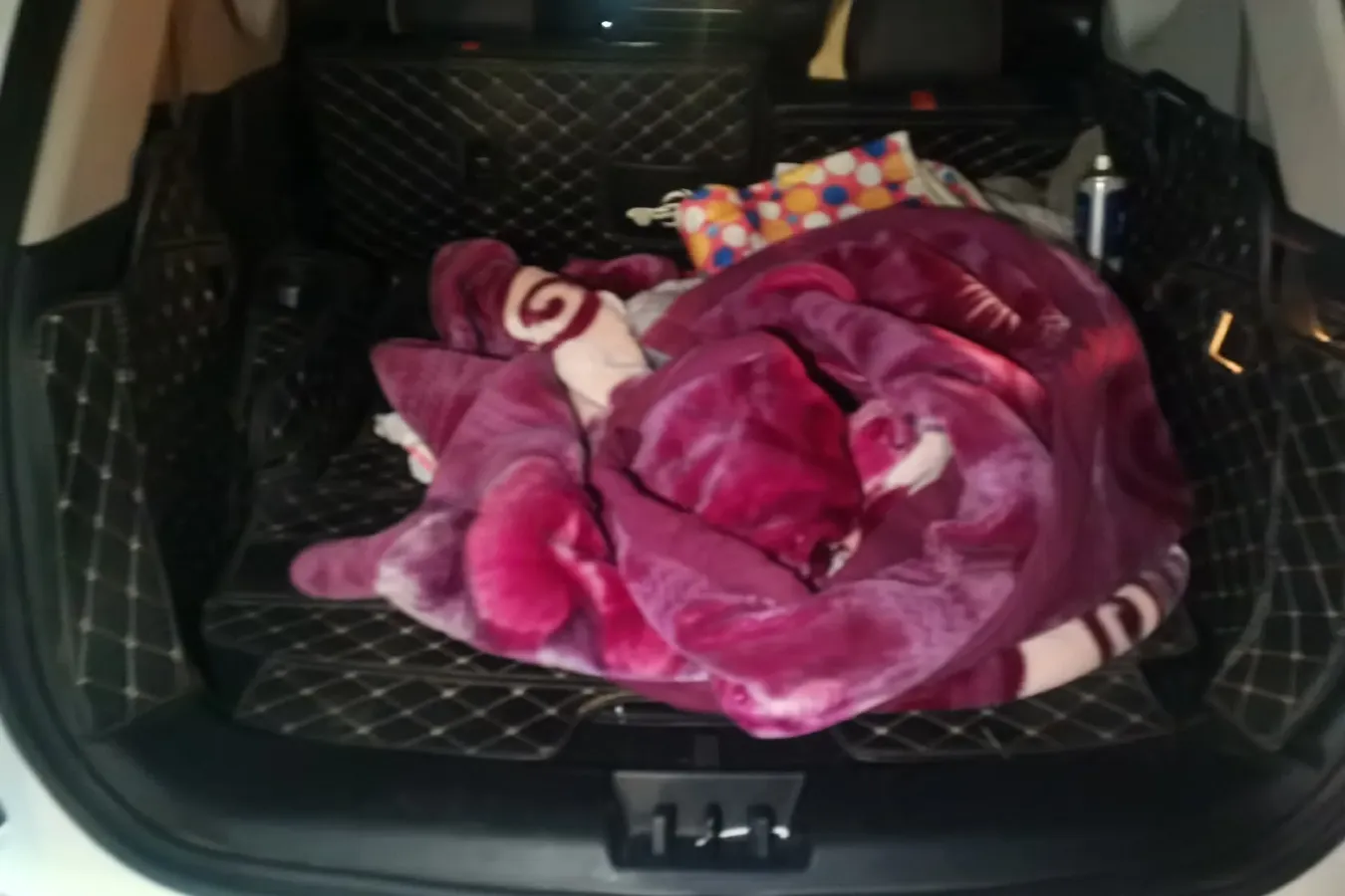 2020 DongFeng Fengon Fengon 580 Pro 1.5T 150HP L4 6MT,autocango,china used car exporter,china ev exporter,chinese used car exporter,chinese used ev exporter