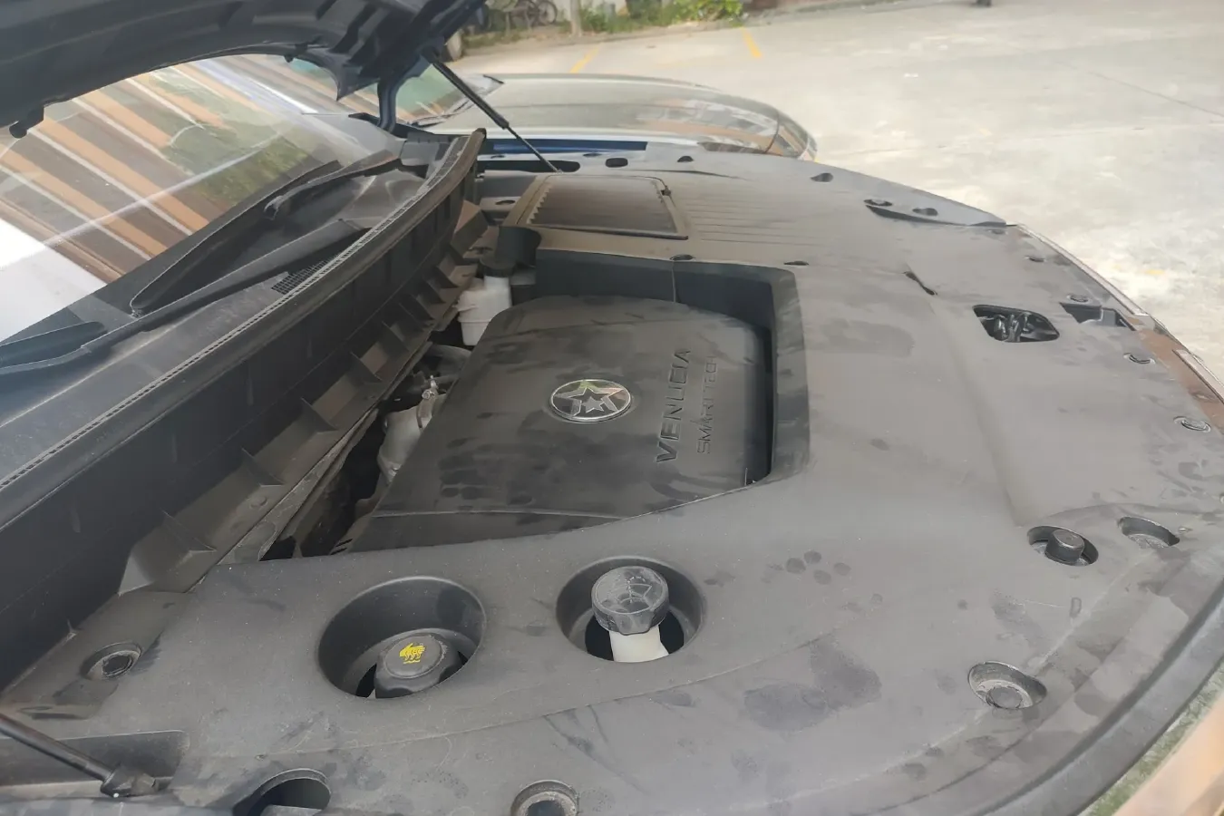 2020 Venucia Star 1.5T 190HP L4 7DCT,autocango,china used car exporter,china ev exporter,chinese used car exporter,chinese used ev exporter