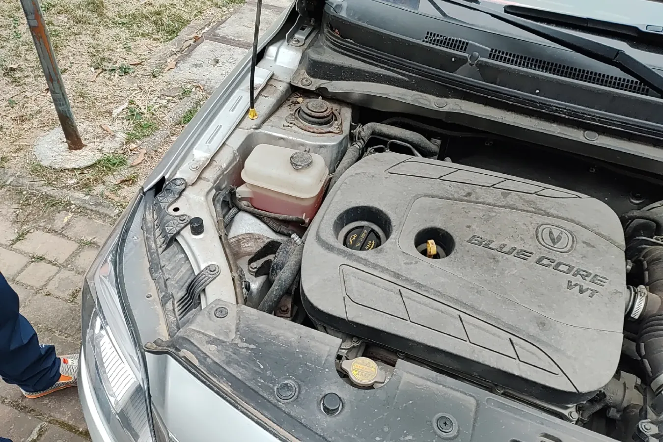 2015 ChangAn Alsvin V3 1.4L 101HP L4 5MT,autocango,china used car exporter,china ev exporter,chinese used car exporter,chinese used ev exporter