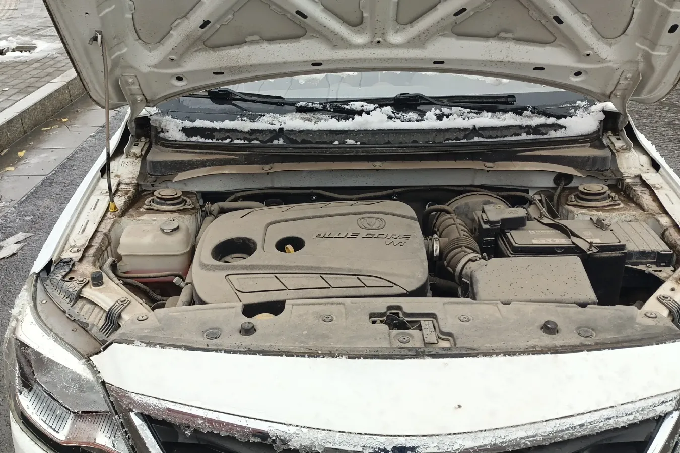 2015 ChangAn Alsvin V3 1.4L 101HP L4 5MT,autocango,china used car exporter,china ev exporter,chinese used car exporter,chinese used ev exporter