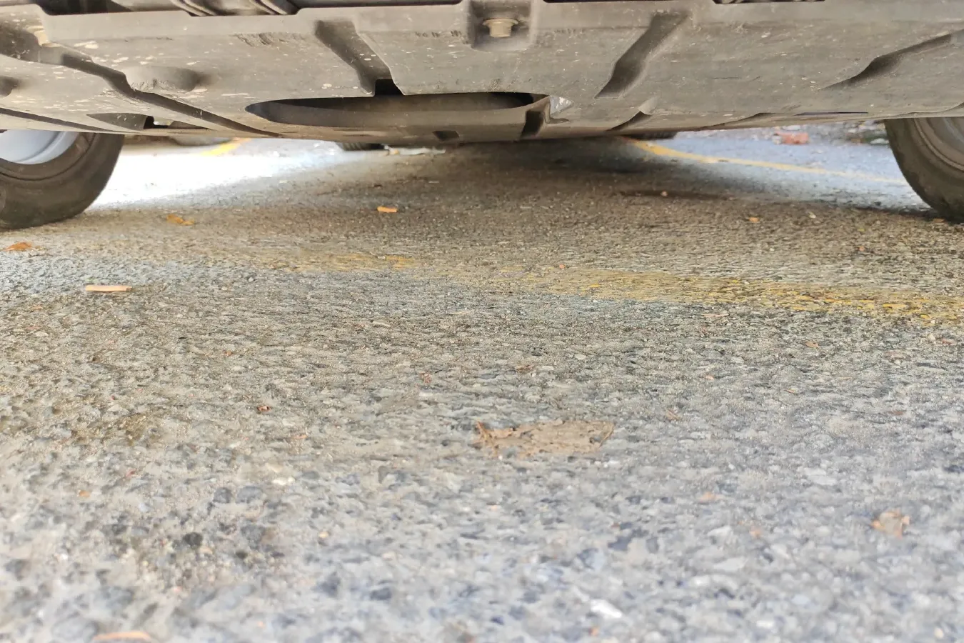 2015 HaiMa Family 1.6L 125HP L4 6MT,autocango,china used car exporter,china ev exporter,chinese used car exporter,chinese used ev exporter