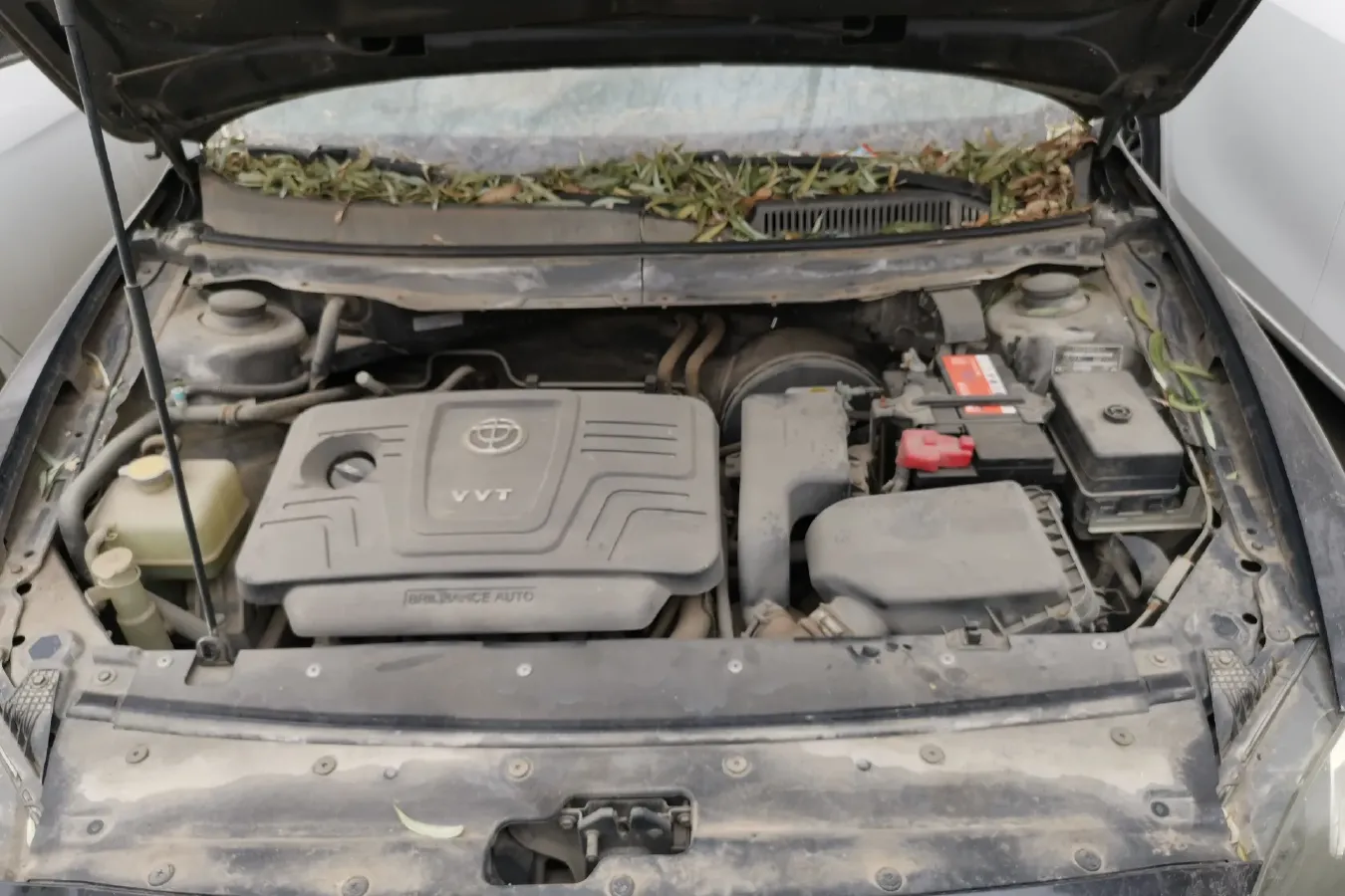 2011 Brilliance Auto H530 1.6L 118HP L4 5MT,autocango,china used car exporter,china ev exporter,chinese used car exporter,chinese used ev exporter