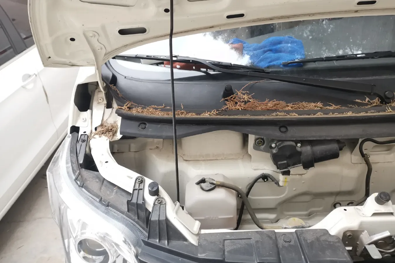 2020 ChangAn Kaicene ZhiXing 5 1.4L 103HP L4 5MT,autocango,china used car exporter,china ev exporter,chinese used car exporter,chinese used ev exporter