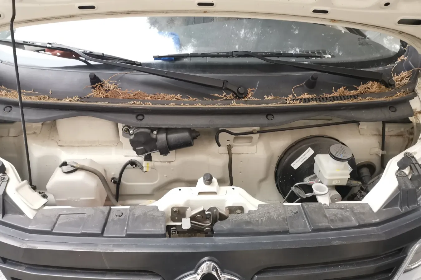 2020 ChangAn Kaicene ZhiXing 5 1.4L 103HP L4 5MT,autocango,china used car exporter,china ev exporter,chinese used car exporter,chinese used ev exporter