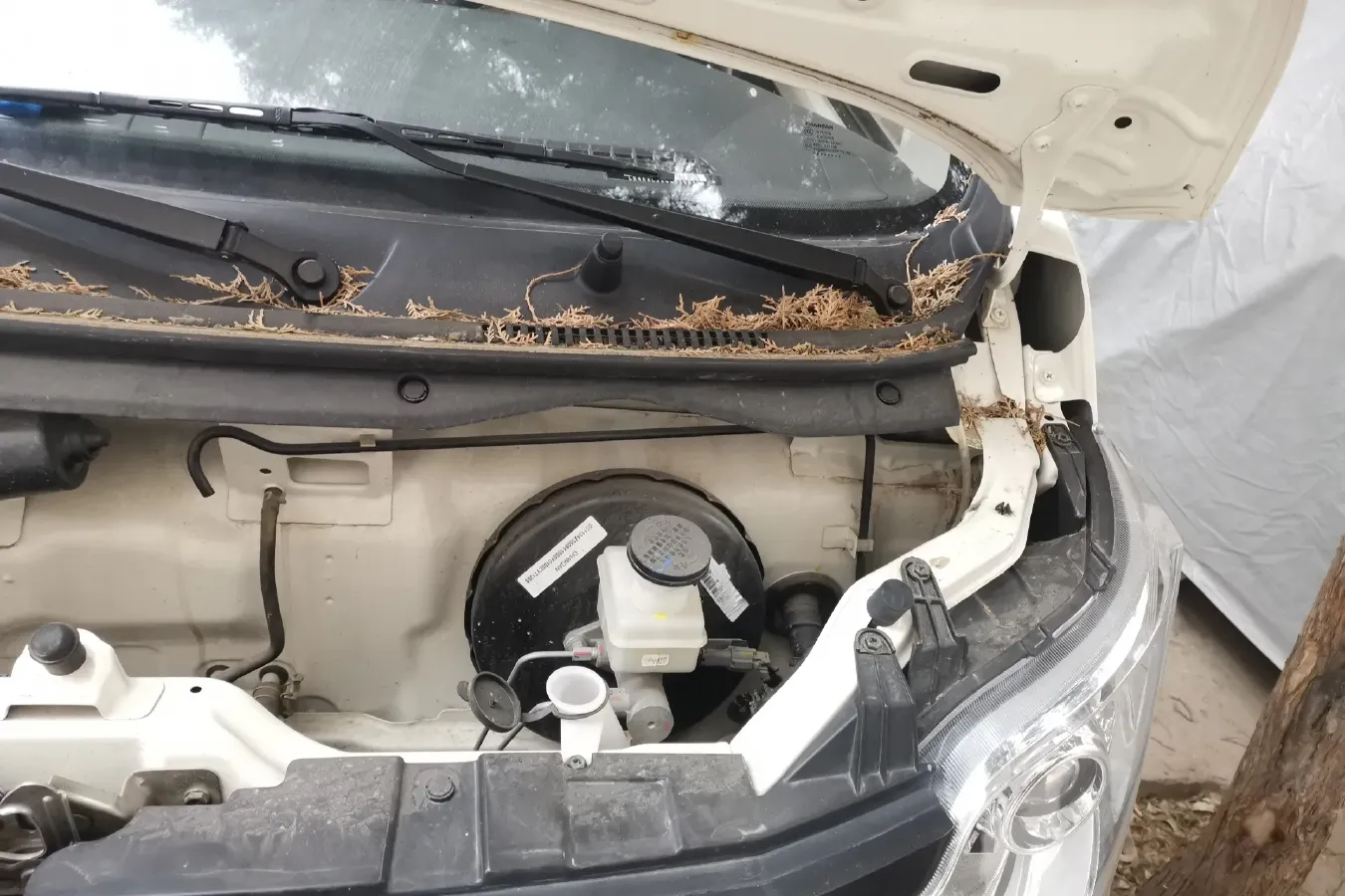 2020 ChangAn Kaicene ZhiXing 5 1.4L 103HP L4 5MT,autocango,china used car exporter,china ev exporter,chinese used car exporter,chinese used ev exporter