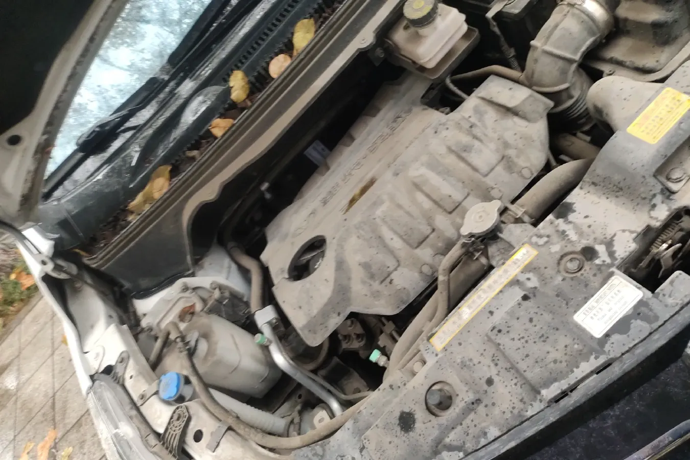 2016 Enranger G5 1.5L 113HP L4 CVT,autocango,china used car exporter,china ev exporter,chinese used car exporter,chinese used ev exporter