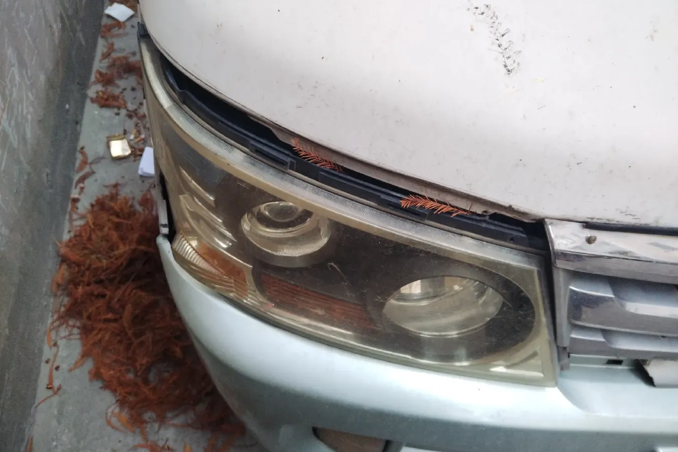 2011 JinBei Sea Lion 2.0L 122HP L4 5MT,autocango,china used car exporter,china ev exporter,chinese used car exporter,chinese used ev exporter