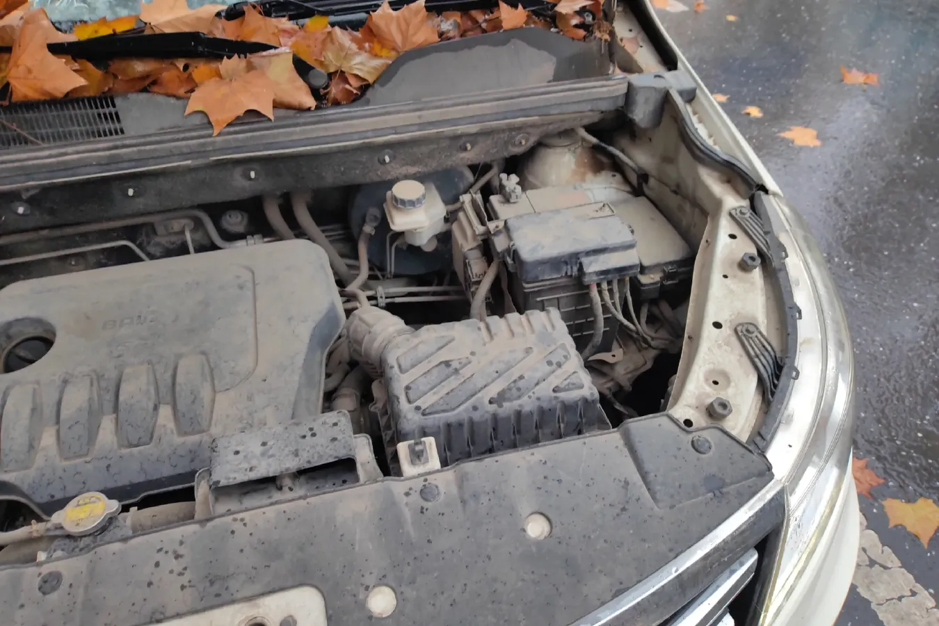 2017 BAIC WeiWang M50F 1.5L 116HP L4 5MT,autocango,china used car exporter,china ev exporter,chinese used car exporter,chinese used ev exporter