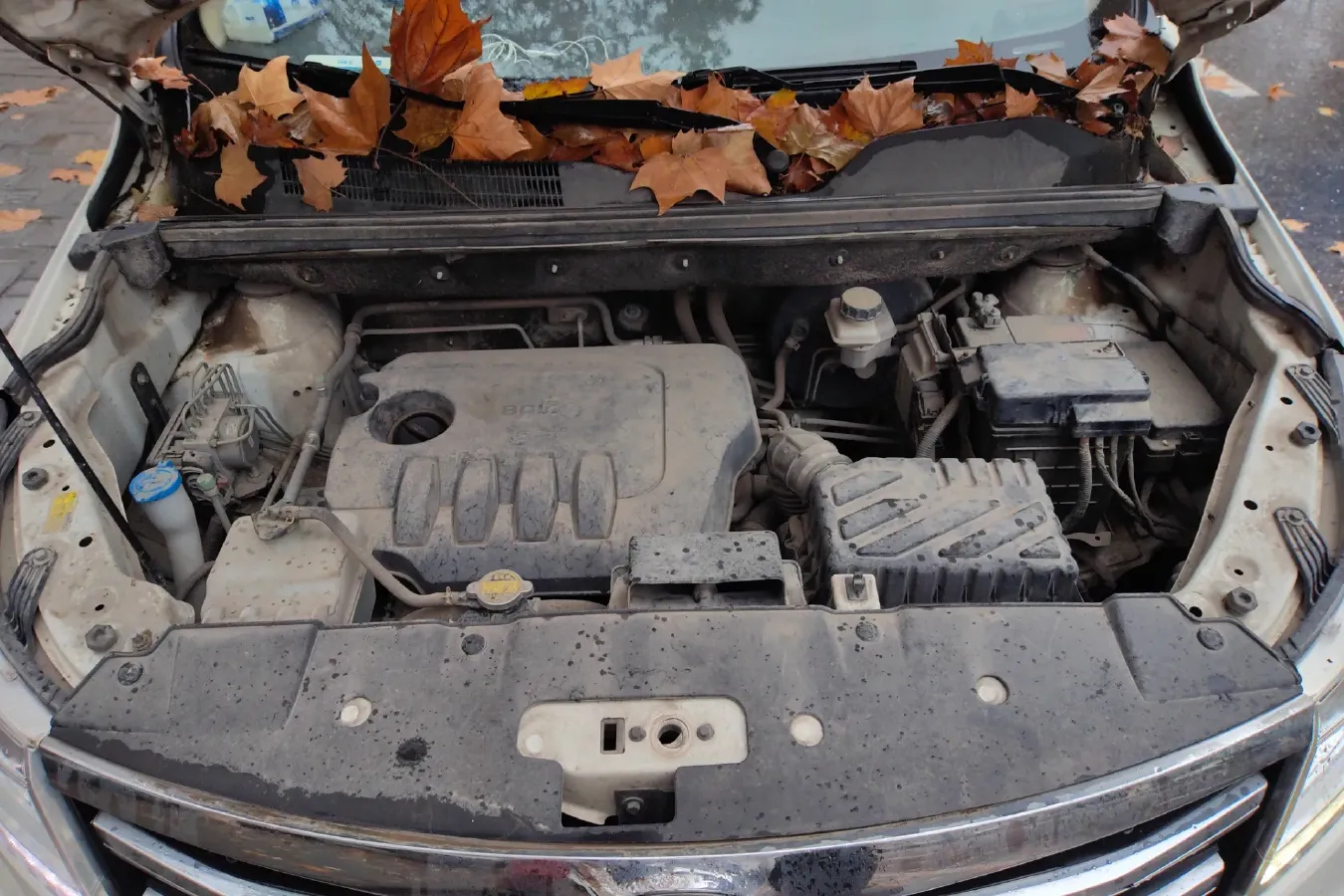 2017 BAIC WeiWang M50F 1.5L 116HP L4 5MT,autocango,china used car exporter,china ev exporter,chinese used car exporter,chinese used ev exporter