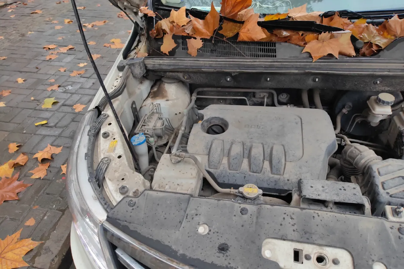 2017 BAIC WeiWang M50F 1.5L 116HP L4 5MT,autocango,china used car exporter,china ev exporter,chinese used car exporter,chinese used ev exporter