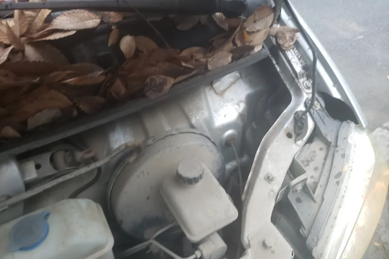 2011 BAIC WeiWang 306 1.3L 82HP L4 5MT,autocango,china used car exporter,china ev exporter,chinese used car exporter,chinese used ev exporter