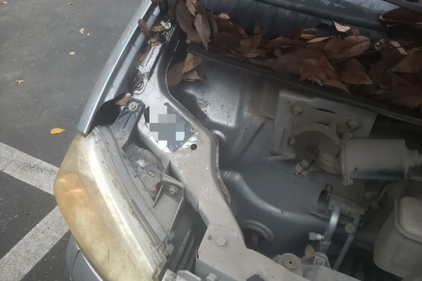 2011 BAIC WeiWang 306 1.3L 82HP L4 5MT,autocango,china used car exporter,china ev exporter,chinese used car exporter,chinese used ev exporter