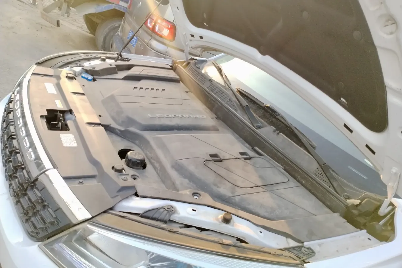 2018 Leopaard CS9 BEV 48.18KWH,autocango,china used car exporter,china ev exporter,chinese used car exporter,chinese used ev exporter