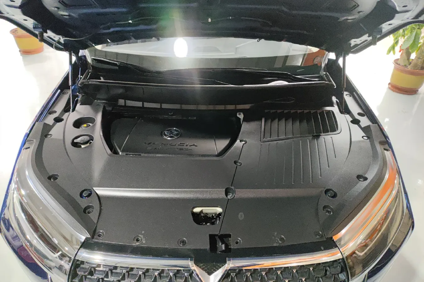 2020 Venucia Star 1.5T 190HP L4 7DCT,autocango,china used car exporter,china ev exporter,chinese used car exporter,chinese used ev exporter