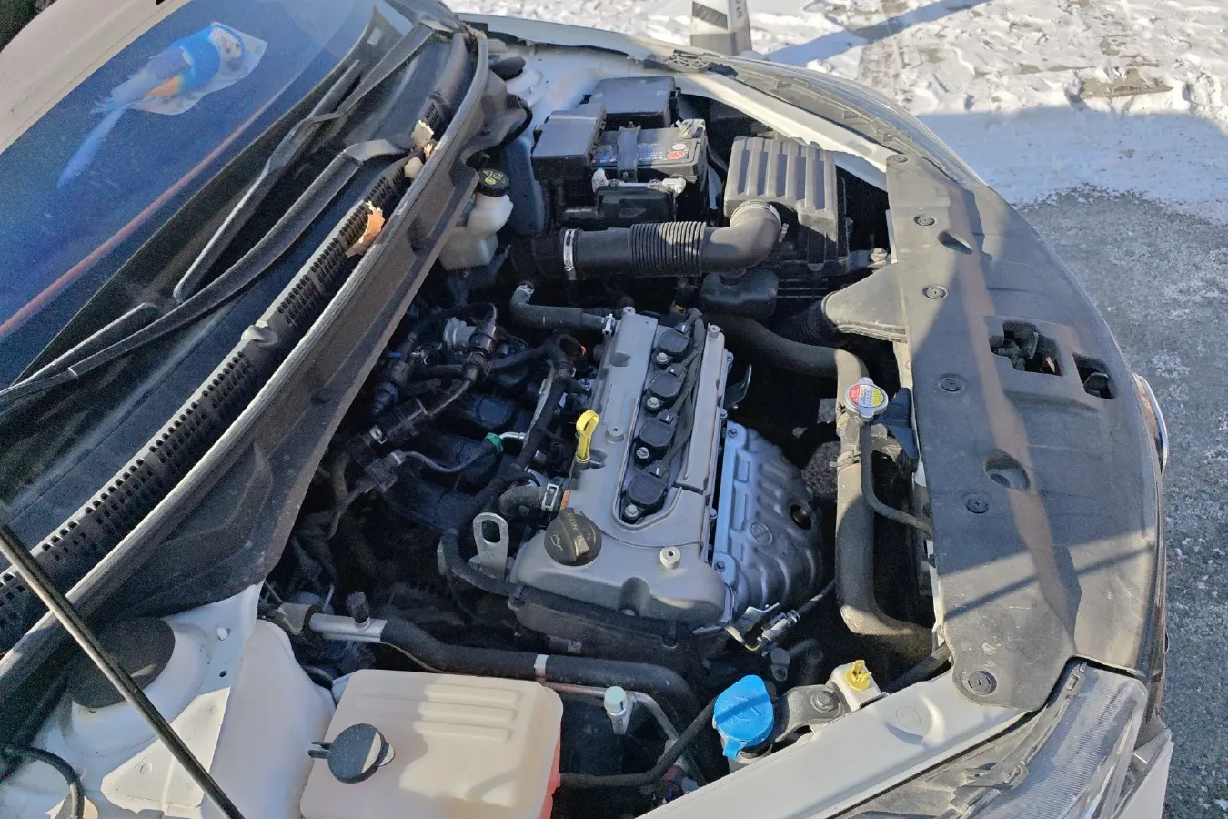 2019 ChangAn Alsvin 1.4L 101HP L4 5MT,autocango,china used car exporter,china ev exporter,chinese used car exporter,chinese used ev exporter