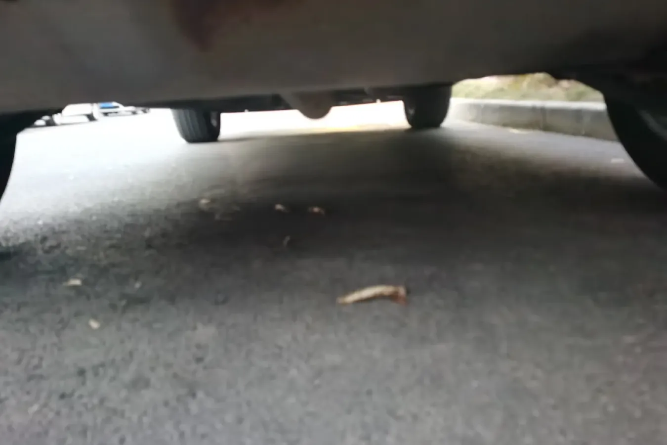 2017 Jeep Compass 1.4T 165HP L4 7DCT,autocango,china used car exporter,china ev exporter,chinese used car exporter,chinese used ev exporter