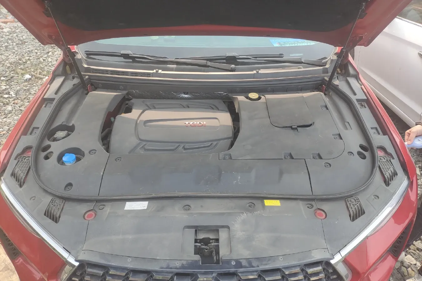 2019 HaiMa 8S 1.6T 195HP L4 6AT,autocango,china used car exporter,china ev exporter,chinese used car exporter,chinese used ev exporter