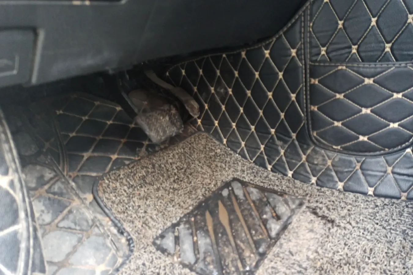 2018 Toyota Levin 1.2T 116HP L4 CVT,autocango,china used car exporter,china ev exporter,chinese used car exporter,chinese used ev exporter