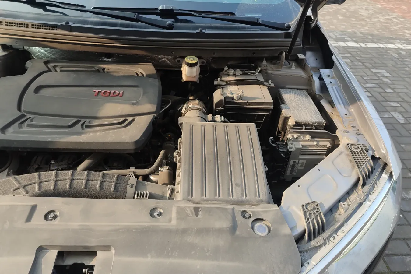 2019 HaiMa 8S 1.6T 195HP L4 6AT,autocango,china used car exporter,china ev exporter,chinese used car exporter,chinese used ev exporter